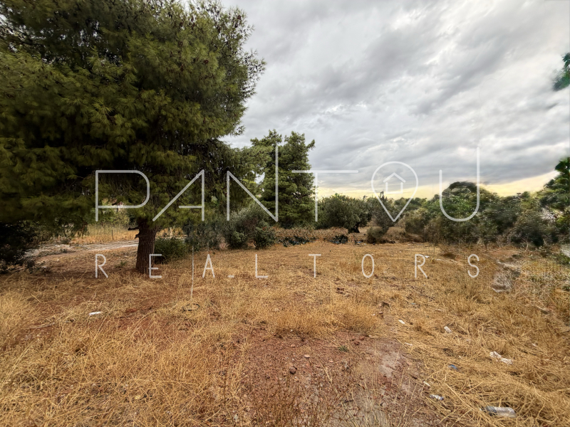 property-img